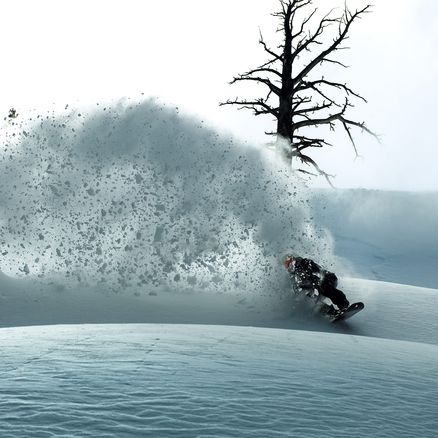 arbor snowboards bindings distribution