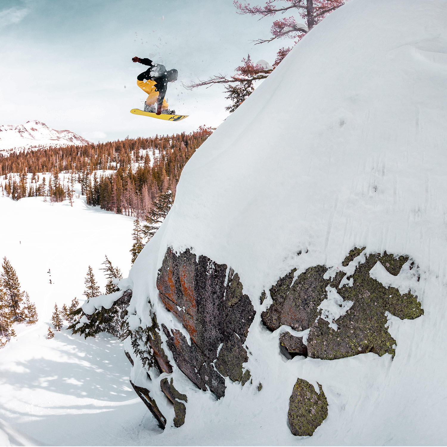 arbor snowboards bindings distribution